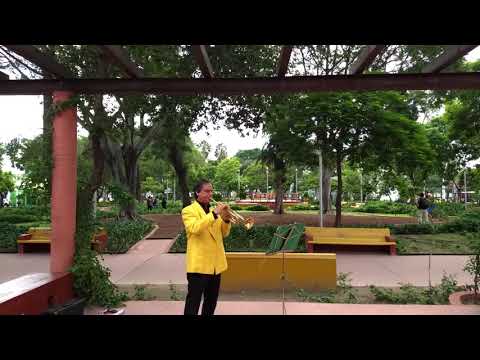 Johann Nepomuk Hummel - Trumpet Concerto, 2 mvt