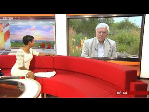 Car Crash TV Naga Munchetty Sir David Attenborough BBC Breakfast