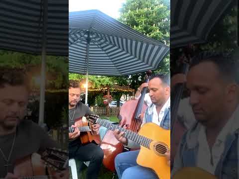 Jazz manouche - mozology - trio rosenberg