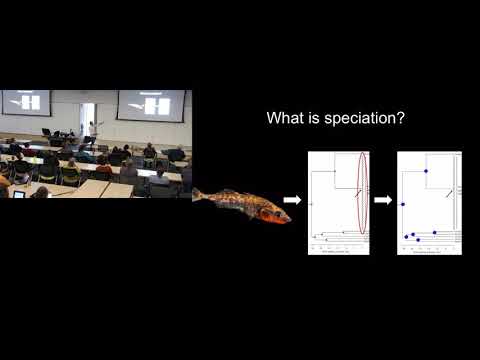 UM EEB Seminar: Dan Rabosky, University of MIchigan