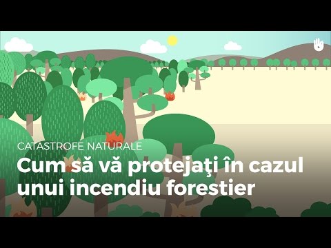 Aflați gesturile de prim ajutor - Cum sa va protejati in cazul unui incendiu forestier