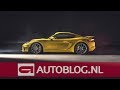 In depth tour of the new Porsche 718 Spyder + GT4 engine