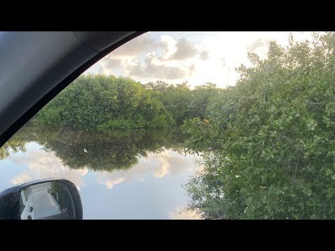 Videos del Desire Riviera Maya Resort 5★ en Puerto Morelos, México
Ver Más
Ver
Precios
18
Cerrar
Consulta por Whatsapp 🇦🇷
Booking
Tripadvisor
Expedia
Travelocity
Orbitz
Priceline
Trip
Skyscanner
Despegar
Kayak
Hoteles
Bestday
Destinia
Trivago
Turismocity
Lastminute
Tui
Wotif
