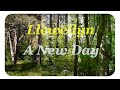 Relaxing Nature Scenes With Easy Listening Music: Llewellyn - A New Day