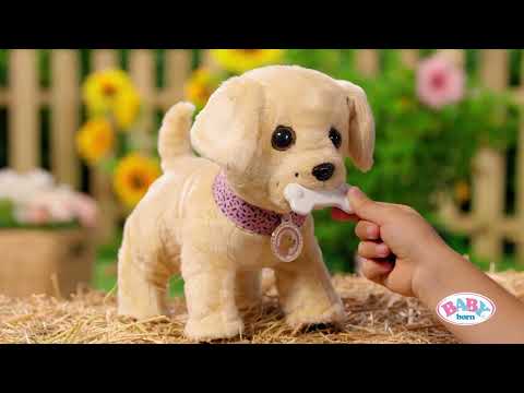 BABY born My Lucky Dog