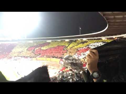 Champions League Roter Stern Belgrad gg. Paris SG. Wahnsinns Stimmung