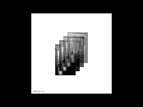 N. A. C. - Fishes. Indie Music