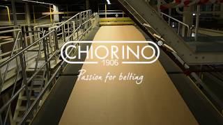 Chiorino for Carton Flexofolder Gluers