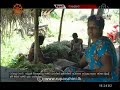 mihikaha-dinuwo-17-05-2019