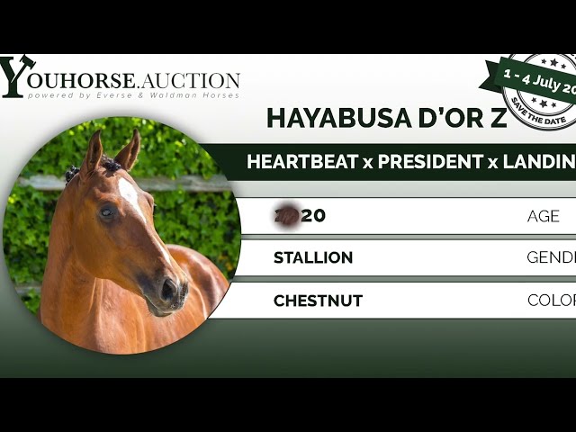 Hayabusa D'or Z