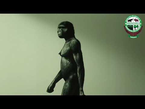 Olduvai Gorge Ngorongoro