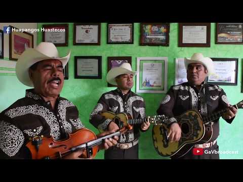Trío Los Hidalguenses toca "El Bejuquito" y "El Zacamandú"