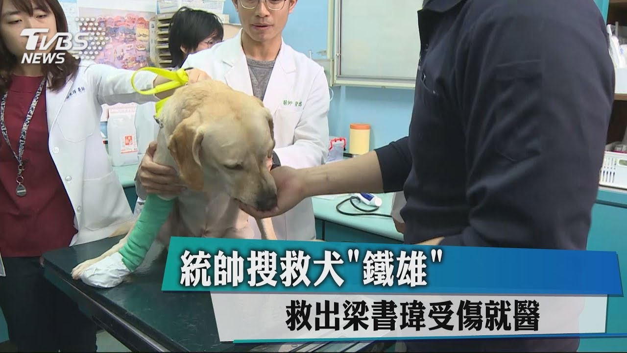統帥搜救犬「鐵雄」　救出梁書瑋受傷就醫