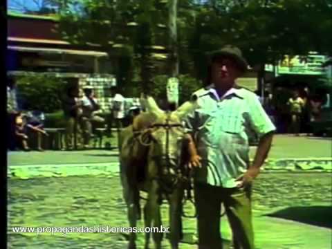 Xarope Castaniodo - Anos 80