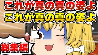 【総集編】春休みのゆっくり茶番集総集編！【ゆっくり茶番】