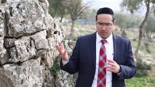 הרב משה יצחק מזרחי הי''ו -  ההבדל בין חכם לתלמיד חכם.