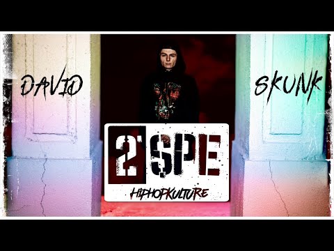 2SPE - David Skunk feat. DJ Undoo