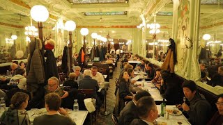 French brasseries: Where tradition is on the menu • FRANCE 24 English
