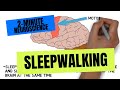 2 Minute Neuroscience Sleepwalking