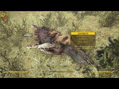 Fallout 4 Modded, Zombie World gameplay pt79  Nuka World Hunter