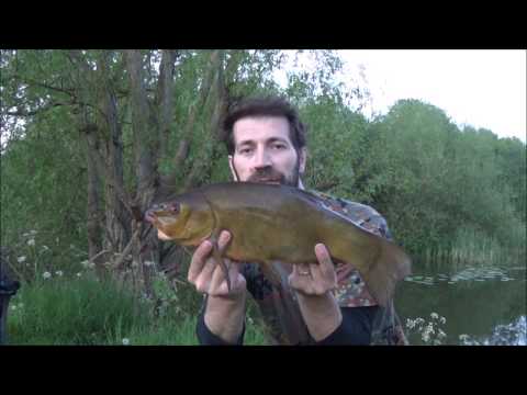 Spring Tench fishing  - Tough sessions.. May 2019