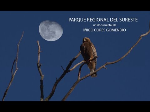 PARQUE REGIONAL DEL SURESTE