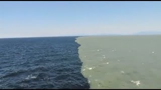 2 महासागर यहाँ मिलते हैं पर घुलते नहीं - Gulf of Alaska Scientifically Explained - TEF Ep 20