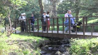 preview picture of video 'Swansea Ramblers lead a  walk in Clyne gardens for the visually impaired'