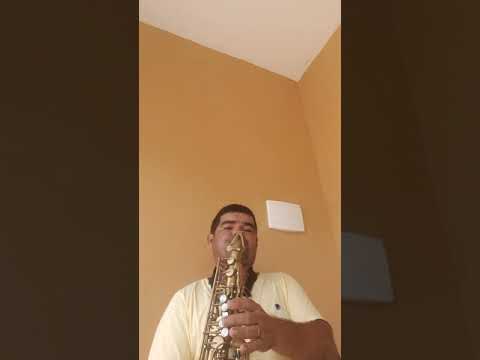 A Bela Cidade C.C. 498