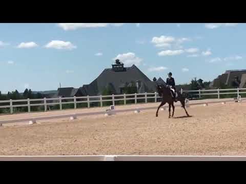 Rozmaryn Young Riders Freestyle 06.19