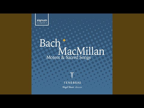 Komm, Jesu, komm, BWV 229 (Live)