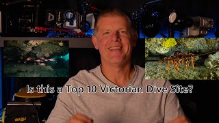 Diving Helen Rock a top 10 Victorian dive site