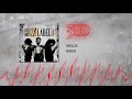 Migos - Birds | 300 Ent (Official Audio)