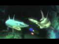 Fish Are Friends Not Food
