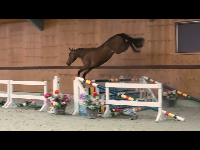 Jumping