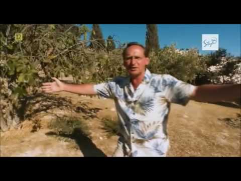 Ogrod oliwny - Krąg Biblijny