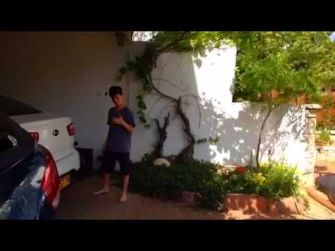 bruno mars - locked out of heaven parody