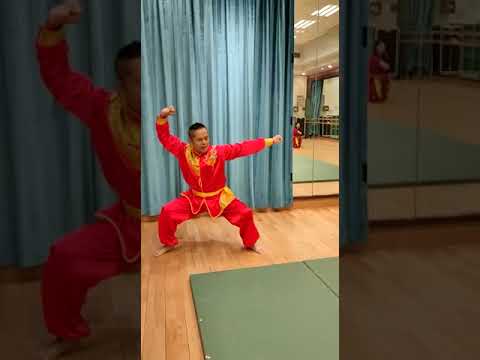 HKSCSA：香港少林《#香港少林拳》