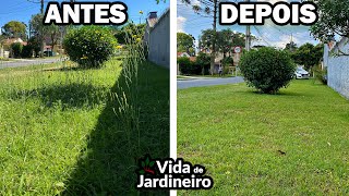 Como acabar com mato na grama | Chega de ervas daninhas | Vida de Jardineiro