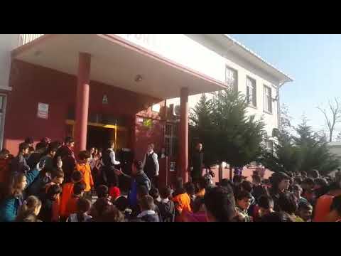 Furkan ve salih erik dalı şov