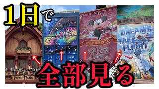 【ディズニー企画】誕生日のDヲタが1日でディズニーランドとディズニーシーの屋内ショー全部見てみた【ありがとうBBB】