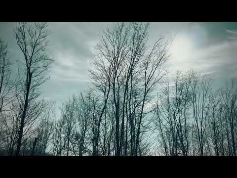 Unforgettable Journey in Caraș-Severin: Sichevița, Moldova Nouă, Șopotu Nou