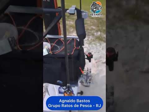 Depoimento Betara