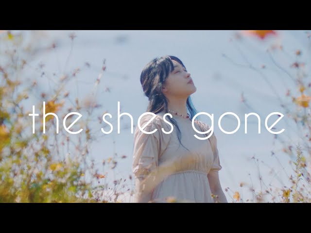 陽だまり / the shes gone