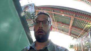 Disneyland LIVE