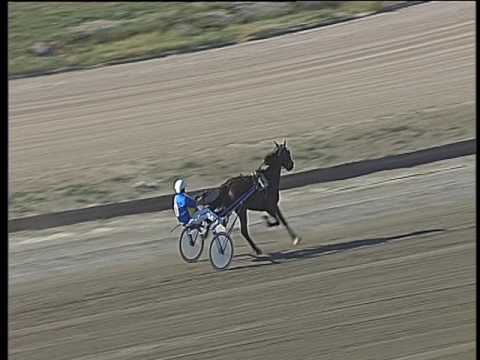 Trotto 14/05/2017 - 1ª prova di qualifica