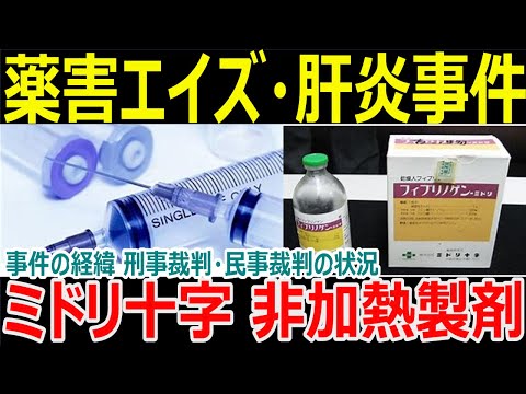 好中球の細胞質内の桑実胚(矢印でマークされた青い点)