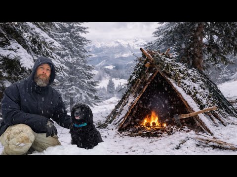 Winter Survival Shelter In Falling Snow | Staying Dry And Warm With My Dog