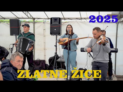 Zlatne žice za Braću Pelemiš - Osma Birčanska Jagnjijada Borogovo - Osmaci