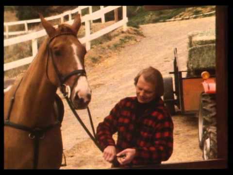 The Best Days of My Life  David Soul